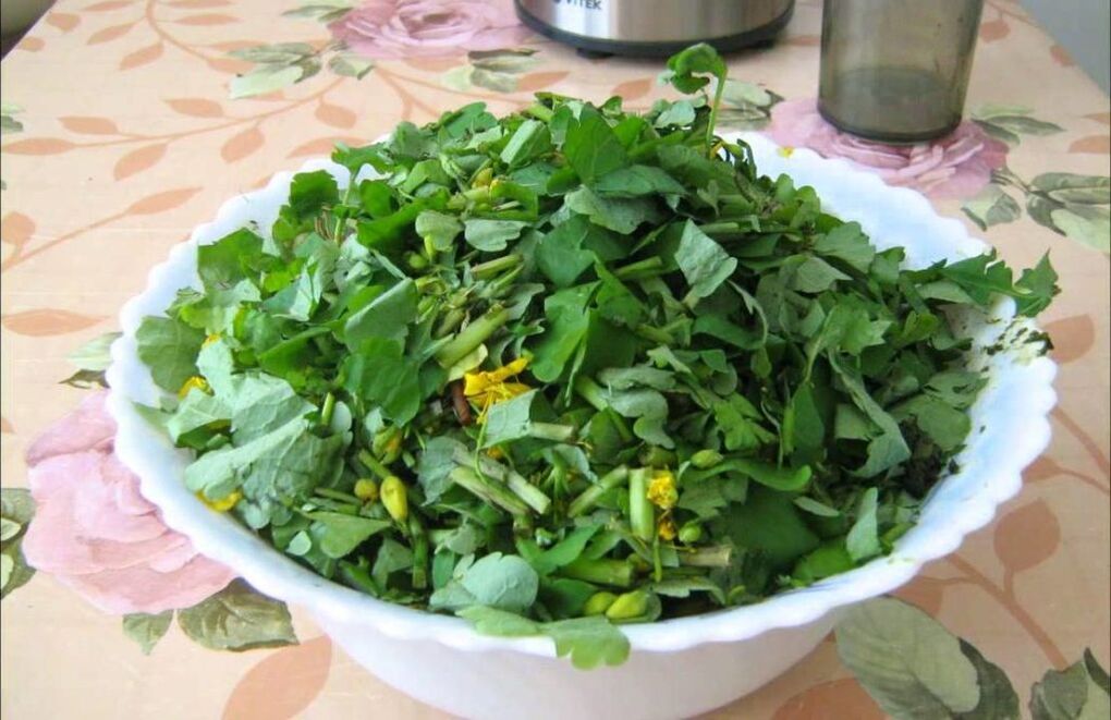 Crushed Celandine fir d'Virbereedung vun antimykotesche Salbe